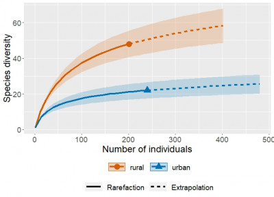 9_Rarefaction-Location-q1.jpeg