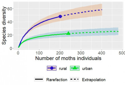 Rplot.jpeg