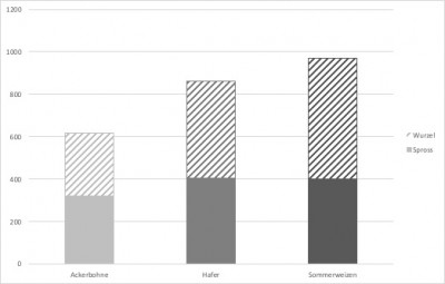 Beispiel Balkendiagramm.jpg